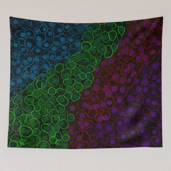 Item preview, Fluorescent Cell Mosaic Spectrum designed and sold by Kaleidoscope Print.