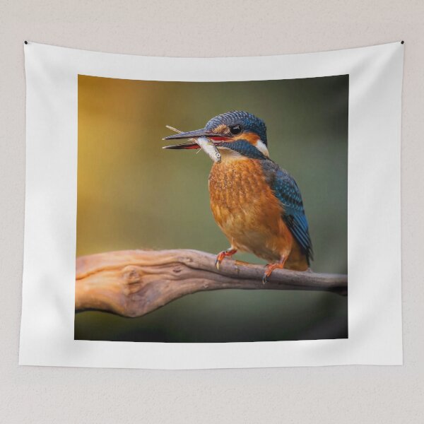 Item preview, Kingfisher River Life designed and sold by apiolands.