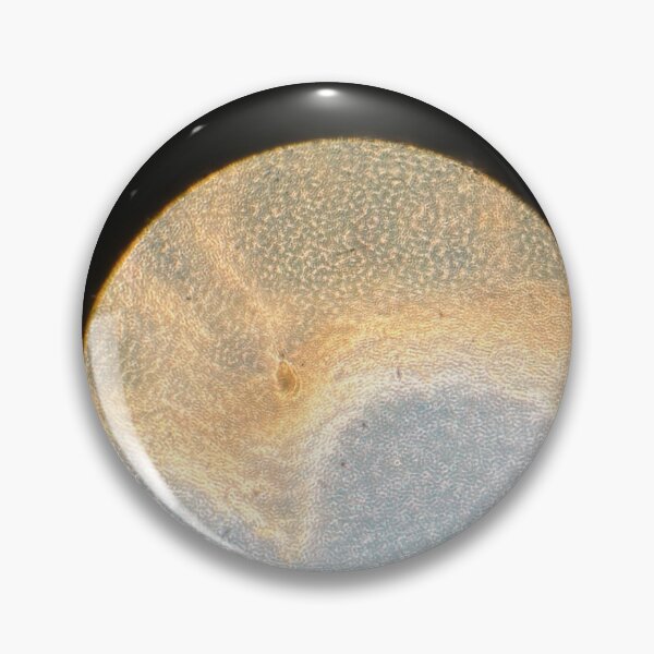 Item preview, Lantibiotic bacillus  designed and sold by LartistM.