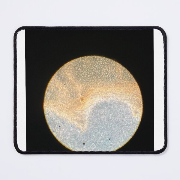 Item preview, Lantibiotic bacillus  designed and sold by LartistM.