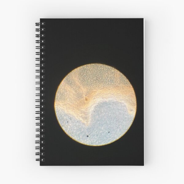 Item preview, Lantibiotic bacillus  designed and sold by LartistM.