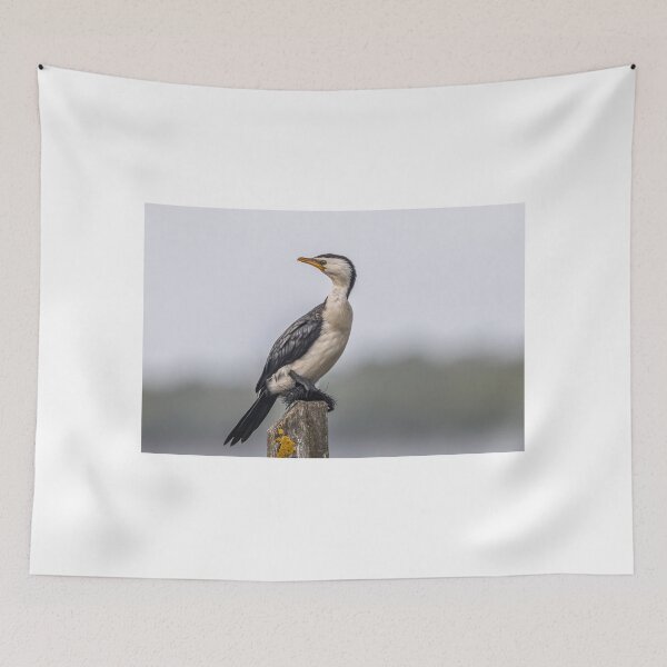 Item preview, Cormorant on the Post designed and sold by Jan Fijolek.