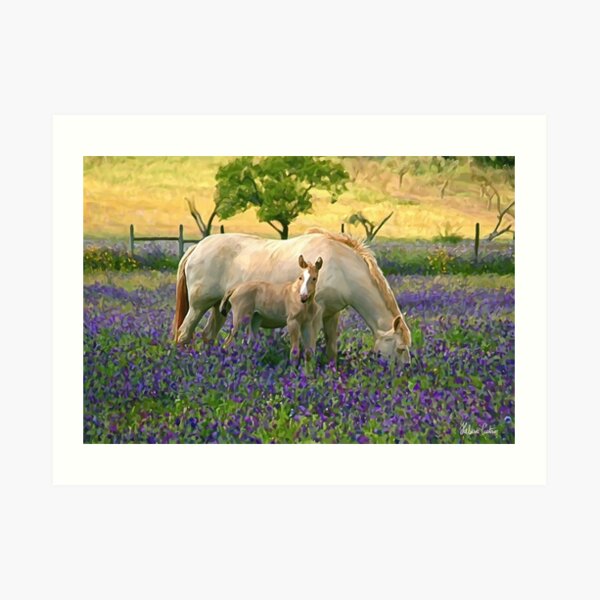 HC0196 Art Print