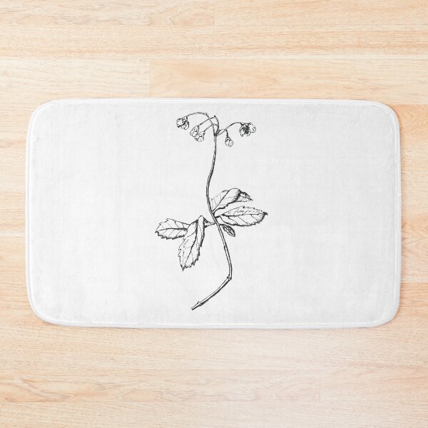 Item preview, Prince's Pine | Botanical Illustration designed and sold by EcologicalArt.
