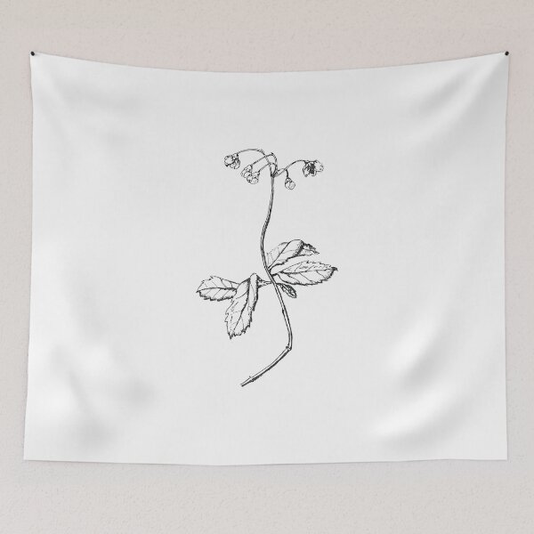 Item preview, Prince's Pine | Botanical Illustration designed and sold by EcologicalArt.