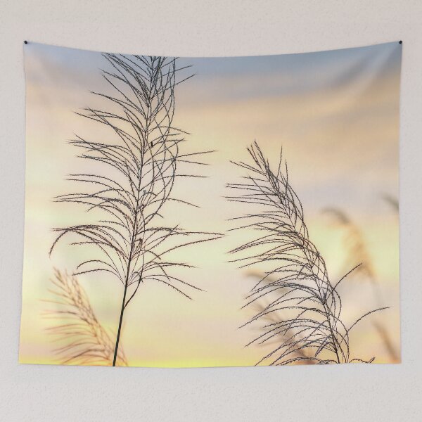 Item preview, Two Lone Weed's at Sunset in a Rice Field, in Thailand designed and sold by Huskyyy Designs.