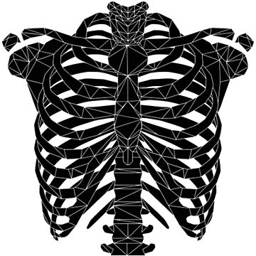 Artwork thumbnail, Geometric Low Poly Ribcage by BotivaGB