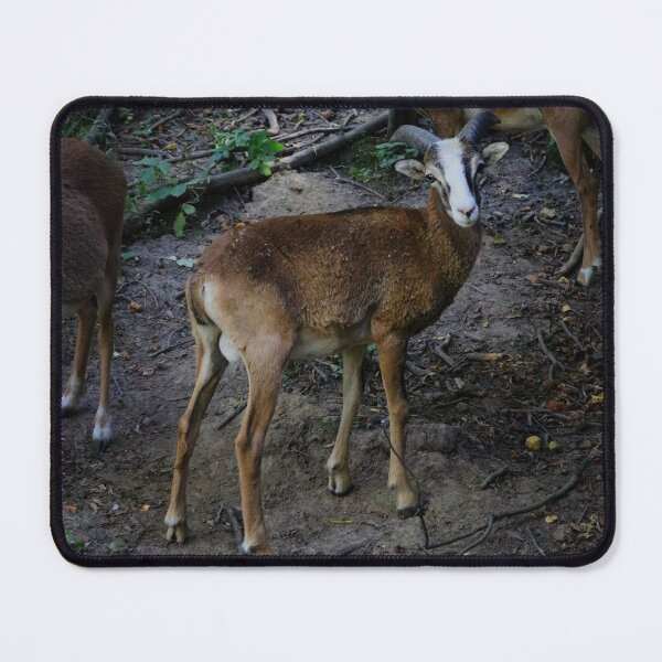 Item preview, Wild Mountain Goats Herd designed and sold by vikko-art.