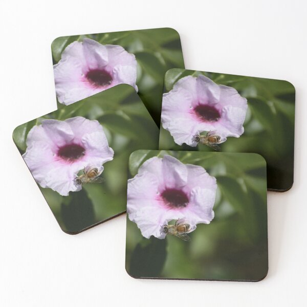Item preview, Bee on Pink Flower designed and sold by MercerImages.