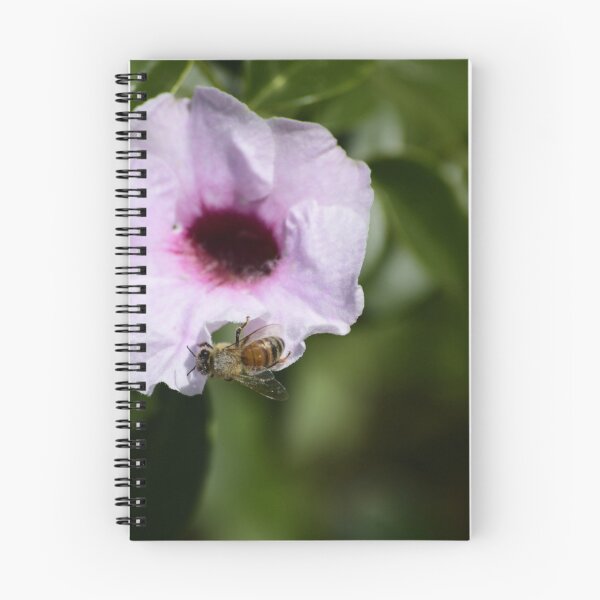 Item preview, Bee on Pink Flower designed and sold by MercerImages.