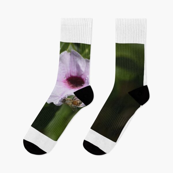 Item preview, Bee on Pink Flower designed and sold by MercerImages.
