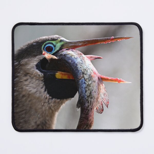 Item preview, Lunch is served  designed and sold by Glennphotos.