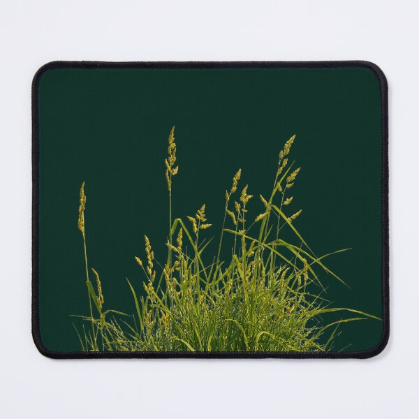 Item preview, Wild Reeds Silhouette – Minimal Nature Grass Design designed and sold by busurman.