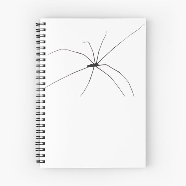 Item preview, Spider  designed and sold by StacksWeb.