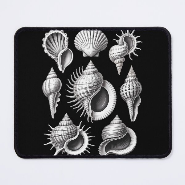 Item preview, Sea Shells Botanical Ocean Scientific designed and sold by lilensgavadur.