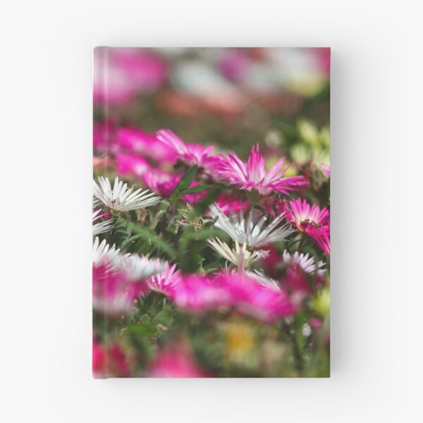 Item preview, Livingstone daisies designed and sold by GreyFeatherPhot.