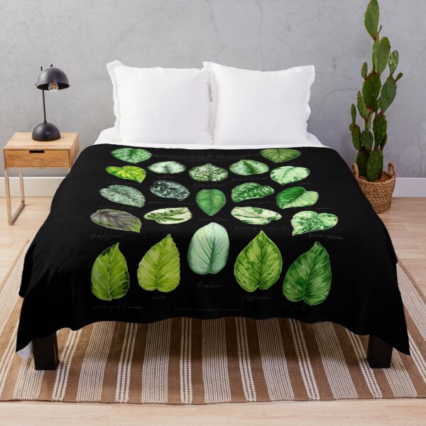Item preview, Scindapsus Pothos Varieties designed and sold by aocibdltbg19.