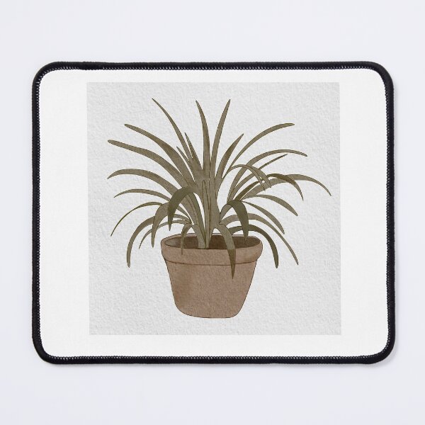 Item preview, Sansevierias are beautiful In vase .Botanical illustration.Hand drawn art. designed and sold by TaniaArtDesign.