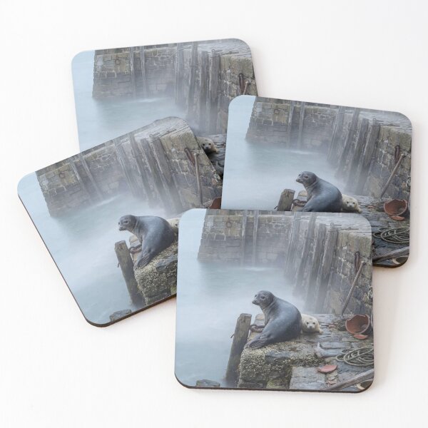 Item preview, Grey Seals: Mother & Pup designed and sold by AncientWanderer.