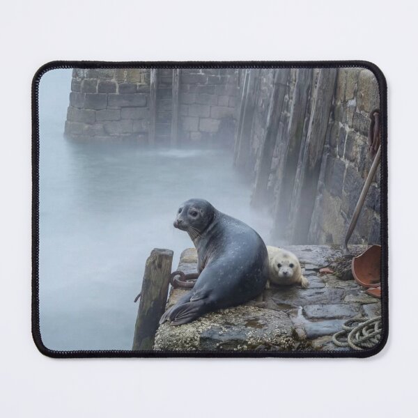 Item preview, Grey Seals: Mother & Pup designed and sold by AncientWanderer.