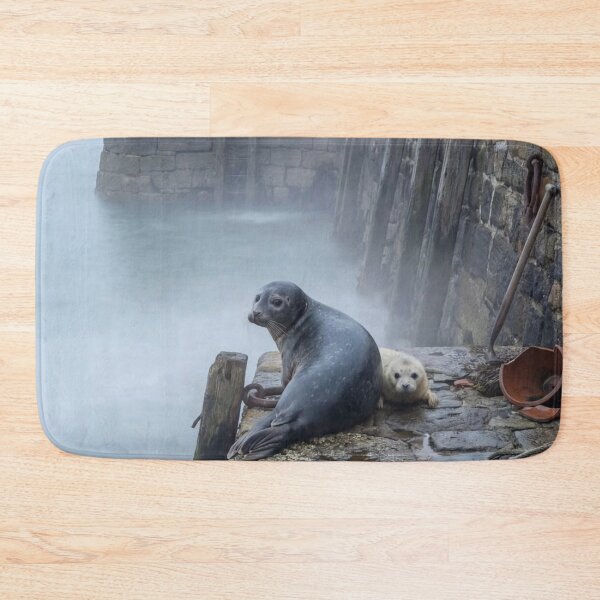 Item preview, Grey Seals: Mother & Pup designed and sold by AncientWanderer.