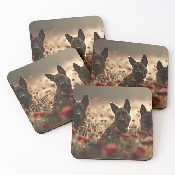 Item preview, Military Dogs in the Poppy Field designed and sold by Skyframe Aviation.