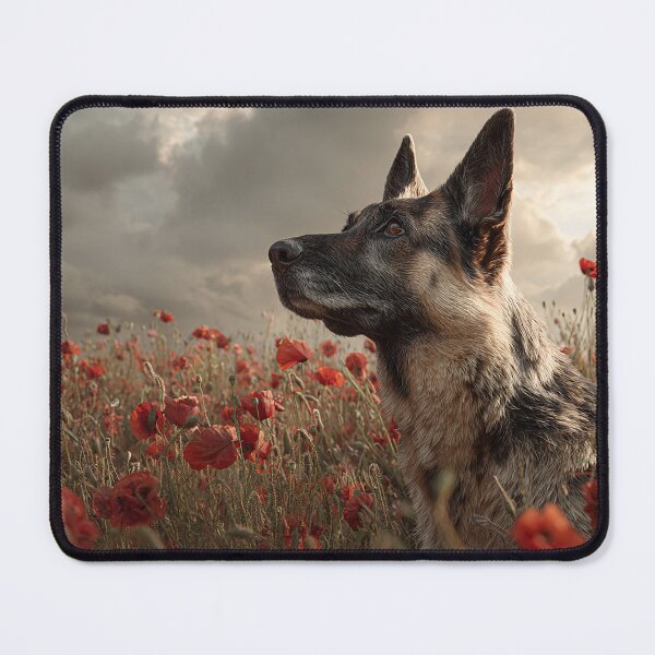 Item preview, Service and Sacrifice in Red designed and sold by Skyframe Aviation.