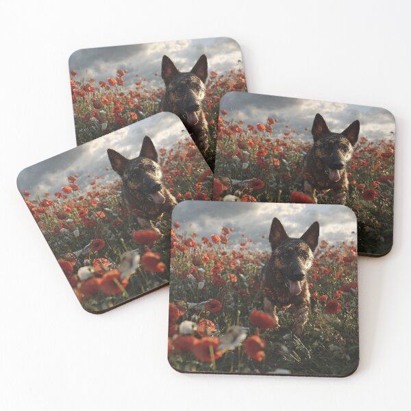Item preview, Red Petals and Loyal Paws designed and sold by Skyframe Aviation.