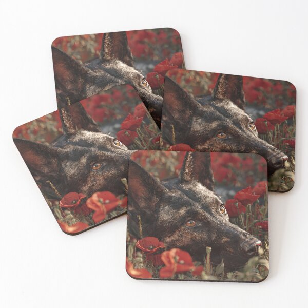 Item preview, Courageous Companions in Scarlet designed and sold by Skyframe Aviation.