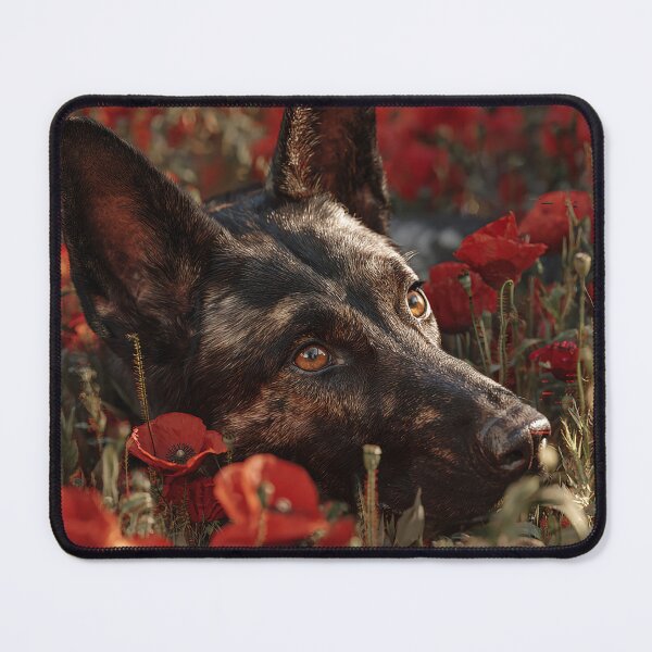 Item preview, Courageous Companions in Scarlet designed and sold by Skyframe Aviation.
