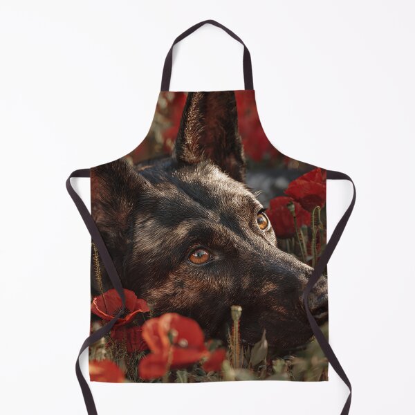 Item preview, Courageous Companions in Scarlet designed and sold by Skyframe Aviation.
