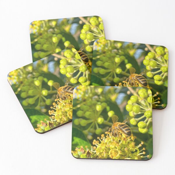 Artikelvorschau, Honigbiene auf leuchtend gelber Blüte – Makrofotografie entworfen und verkauft von leonwoods.