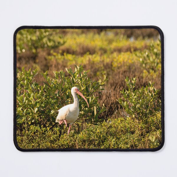 Item preview, Ibis in Lush Wetland Habitat designed and sold by Debra Martz.