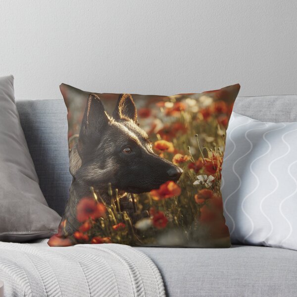 Item preview, Loyal Companions in Red Fields designed and sold by Skyframe Aviation.