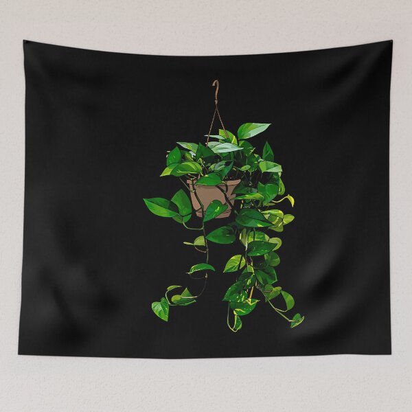 Item preview, Hanging Pothos Plant designed and sold by hdslerqp82.