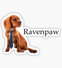 Ravenpaw - the most Clever Pupper Sticker