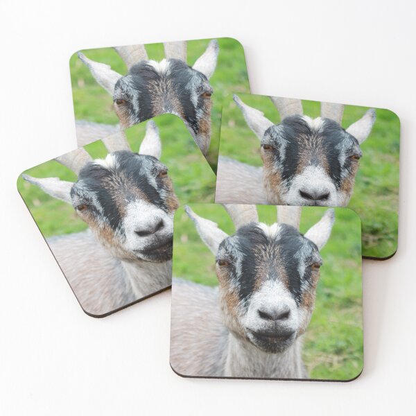 Item preview, Rustic Goat Portrait - Farmhouse Animal Wall Art Photography designed and sold by leonwoods.