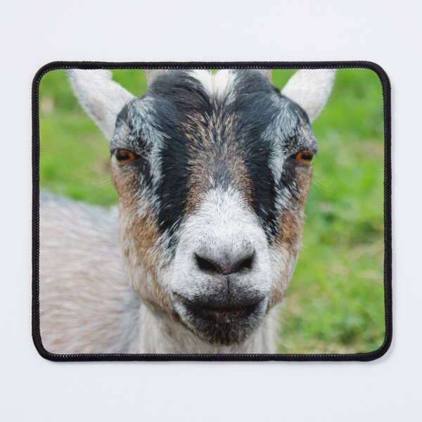 Item preview, Rustic Goat Portrait - Farmhouse Animal Wall Art Photography designed and sold by leonwoods.