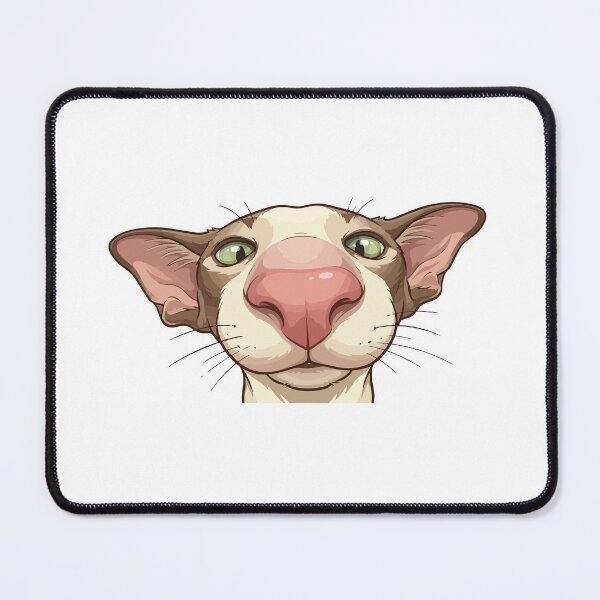 Item preview, Why The Long Face Funny Cat Snout designed and sold by Petzzz.