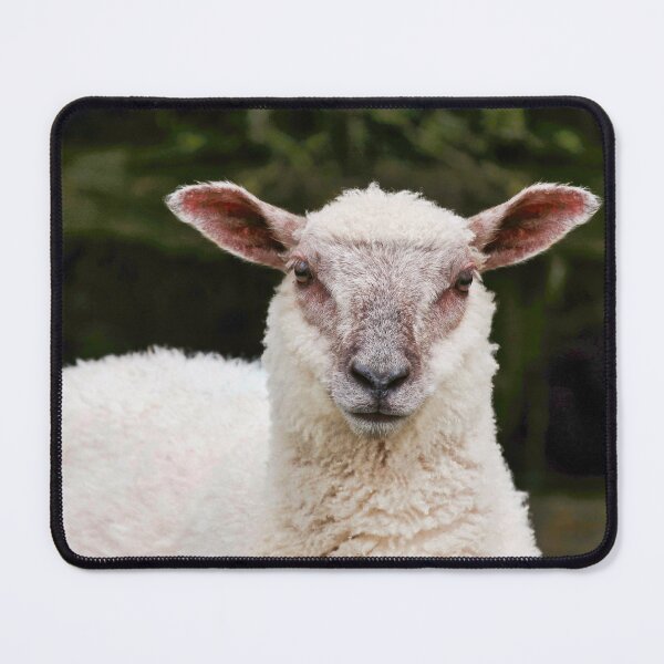 Item preview, Adorable Lamb Portrait - Farmhouse Nursery Wall Art designed and sold by leonwoods.
