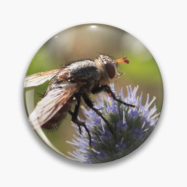 Item preview, Summer Buzz - Tachinid Fly and Blue Thistle designed and sold by vikko-art.