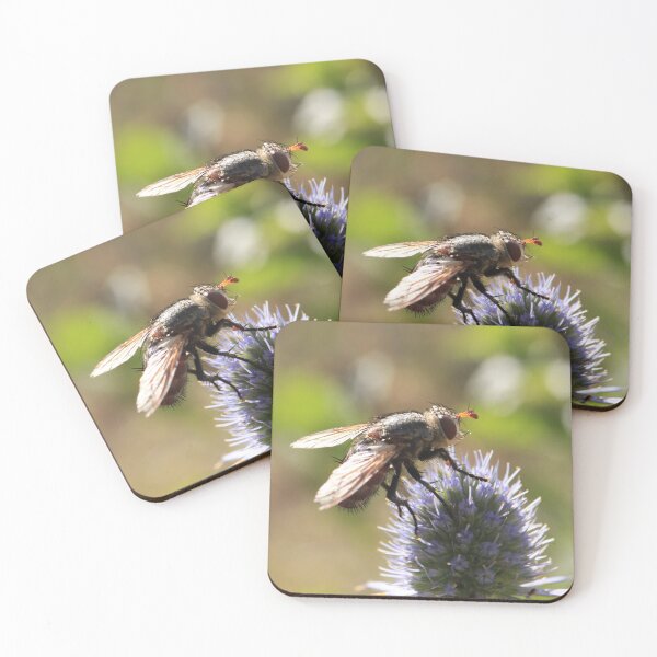 Item preview, Summer Buzz - Tachinid Fly and Blue Thistle designed and sold by vikko-art.