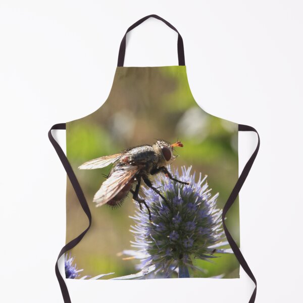 Item preview, Summer Buzz - Tachinid Fly and Blue Thistle designed and sold by vikko-art.