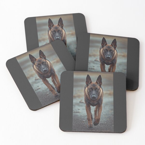 Item preview, Pet Dog – Belgian Malinois Rexon | ArtivaNest Pet Verse designed and sold by ArtivaNest.
