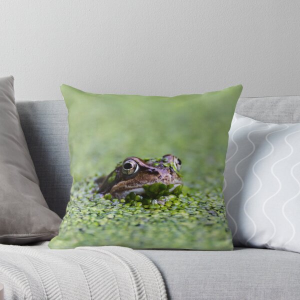 Item preview, Peeking Frog designed and sold by andyroberts64.