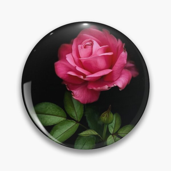 Item preview, Pink Rose designed and sold by PementPhotoArt.