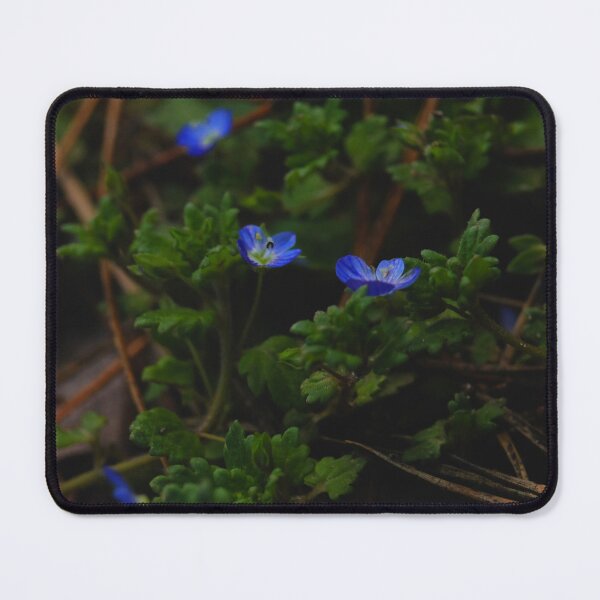 Item preview, Deep Forest Floor - Blue Wildflowers in Pine Needles designed and sold by vikko-art.