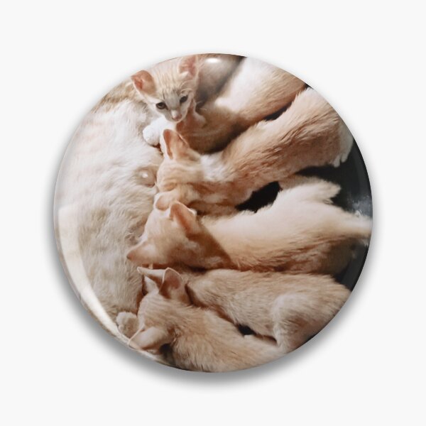 Item preview, Cat Golden Bond designed and sold by StarMistArt.