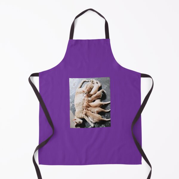 Item preview, Cat Golden Bond designed and sold by StarMistArt.