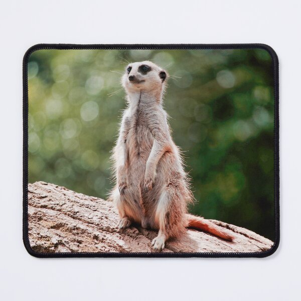 Item preview, Meerkat Standing on a Log - Alert Wildlife Nature Photography designed and sold by leonwoods.